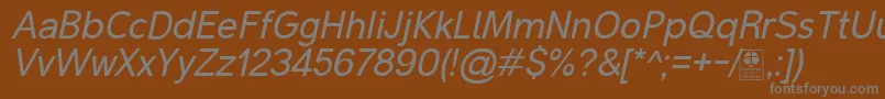MalterSansItalicDemo Font – Gray Fonts on Brown Background