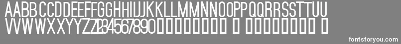 MojaveBold Font – White Fonts on Gray Background