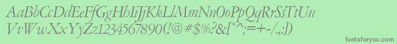 AmsterdamerGaramontItalic Font – Gray Fonts on Green Background
