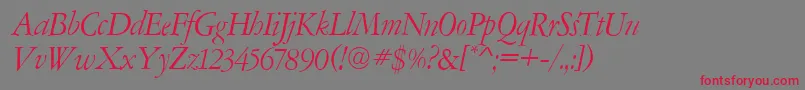 AmsterdamerGaramontItalic Font – Red Fonts on Gray Background