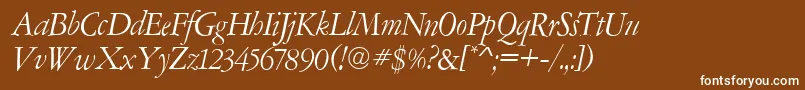 AmsterdamerGaramontItalic-Schriftart – Weiße Schriften auf braunem Hintergrund