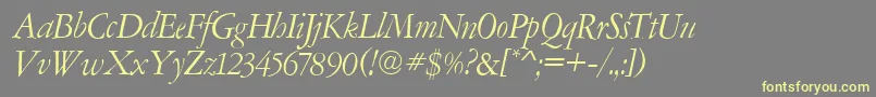 AmsterdamerGaramontItalic Font – Yellow Fonts on Gray Background