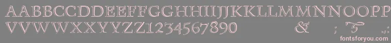 Monument Font – Pink Fonts on Gray Background