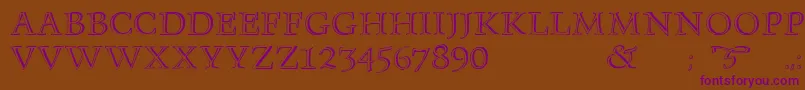 Monument Font – Purple Fonts on Brown Background