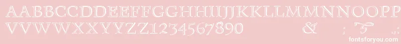 Monument Font – White Fonts on Pink Background