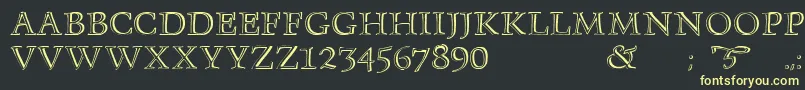 Monument Font – Yellow Fonts on Black Background