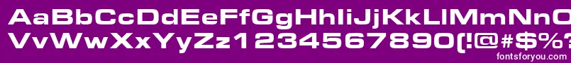 EurostileExtendedBlack Font – White Fonts on Purple Background