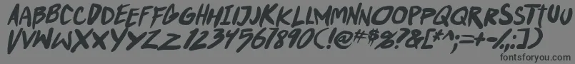 PunkboyTbsItalbold Font – Black Fonts on Gray Background