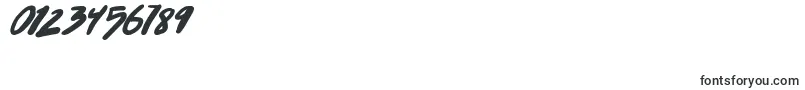 PunkboyTbsItalbold Font – Fonts for Numbers and Digits