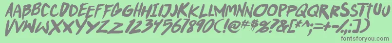 PunkboyTbsItalbold Font – Gray Fonts on Green Background