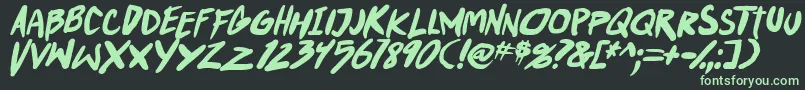 PunkboyTbsItalbold Font – Green Fonts on Black Background