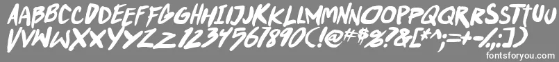 PunkboyTbsItalbold Font – White Fonts on Gray Background
