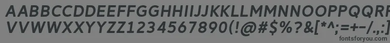 ReitamRegularItalic Font – Black Fonts on Gray Background