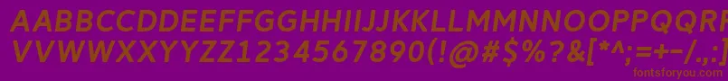 ReitamRegularItalic Font – Brown Fonts on Purple Background