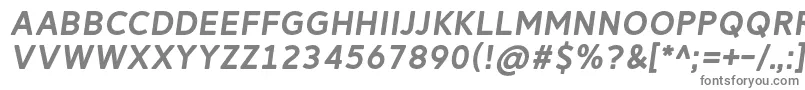 フォントReitamRegularItalic – 白い背景に灰色の文字