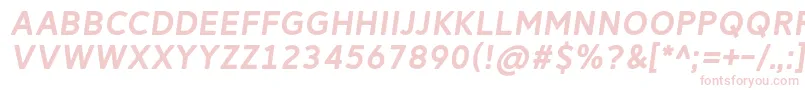 ReitamRegularItalic Font – Pink Fonts