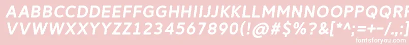 ReitamRegularItalic Font – White Fonts on Pink Background