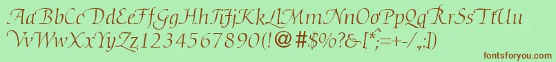 DioscurswashRegularitalicDb Font – Brown Fonts on Green Background