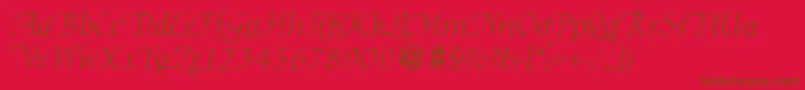 DioscurswashRegularitalicDb Font – Brown Fonts on Red Background