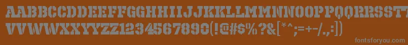 OctinprisonhvRegular Font – Gray Fonts on Brown Background