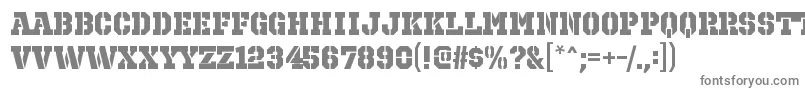 OctinprisonhvRegular Font – Gray Fonts on White Background