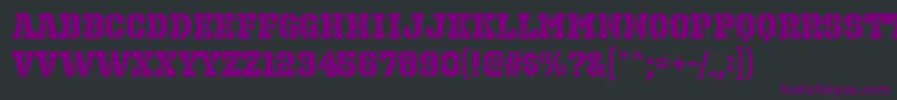 OctinprisonhvRegular Font – Purple Fonts on Black Background