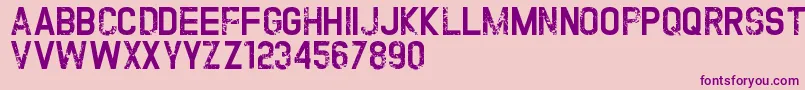TwofoldUncompleteDesign Font – Purple Fonts on Pink Background
