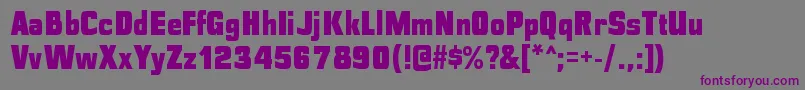 Шрифт PolyflecblRegular – фиолетовые шрифты на сером фоне