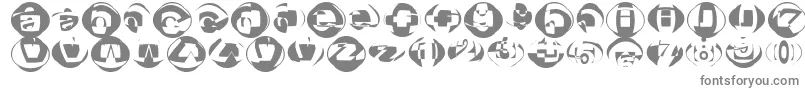 Broktr Font – Gray Fonts on White Background