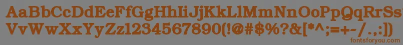 ErBukinist1251Bold Font – Brown Fonts on Gray Background