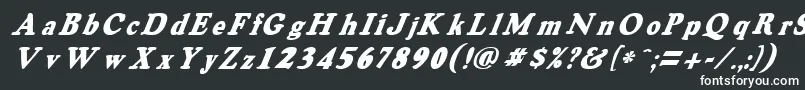 OswaldgreyItalic Font – White Fonts