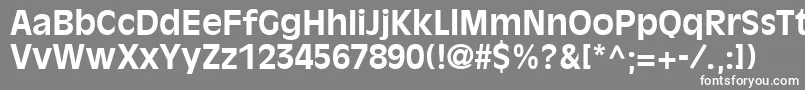 DecadeSsiBold Font – White Fonts on Gray Background