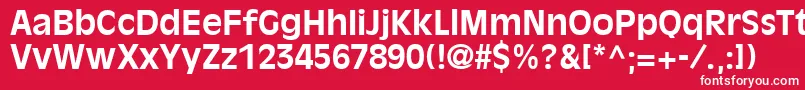 フォントDecadeSsiBold – 赤い背景に白い文字