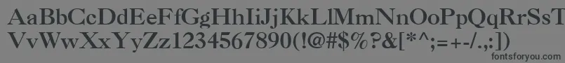CasqueBold Font – Black Fonts on Gray Background