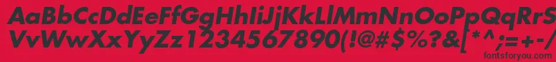 FavoritcBolditalic Font – Black Fonts on Red Background