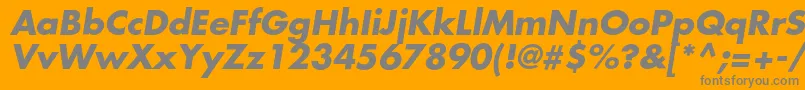 FavoritcBolditalic Font – Gray Fonts on Orange Background