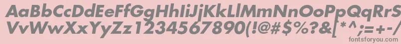 FavoritcBolditalic Font – Gray Fonts on Pink Background