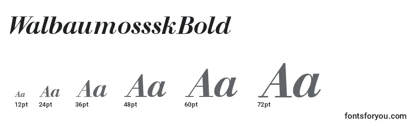 Размеры шрифта WalbaumossskBold