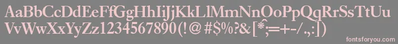 E720RomanBold Font – Pink Fonts on Gray Background