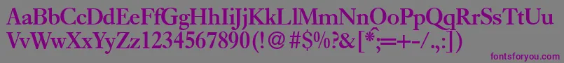 E720RomanBold Font – Purple Fonts on Gray Background