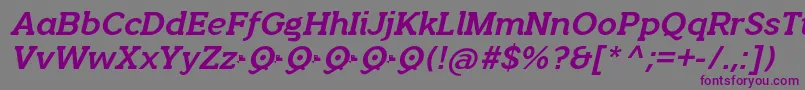 QuotusBoldItalic Font – Purple Fonts on Gray Background