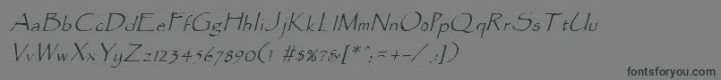 ParadoxItalic-fontti – mustat fontit harmaalla taustalla