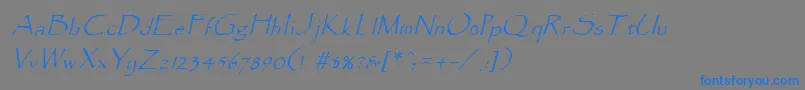 フォントParadoxItalic – 灰色の背景に青い文字