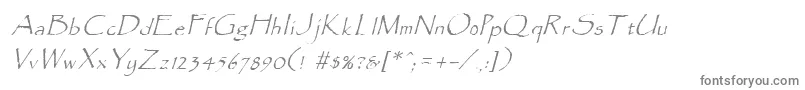 フォントParadoxItalic – 白い背景に灰色の文字