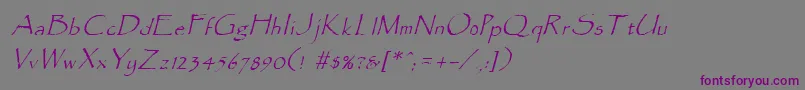 fuente ParadoxItalic – Fuentes Moradas Sobre Fondo Gris