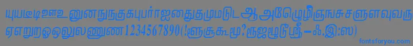 フォントNirmalaRegular – 灰色の背景に青い文字