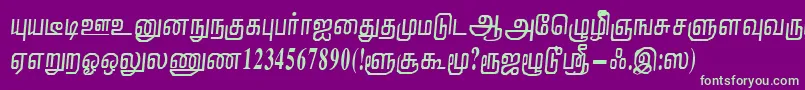 NirmalaRegular Font – Green Fonts on Purple Background