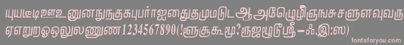 NirmalaRegular Font – Pink Fonts on Gray Background