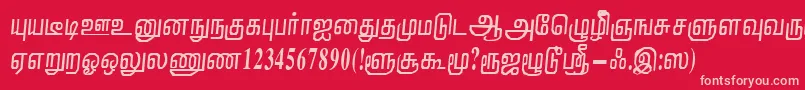 NirmalaRegular Font – Pink Fonts on Red Background
