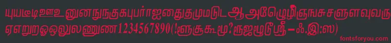 NirmalaRegular Font – Red Fonts on Black Background